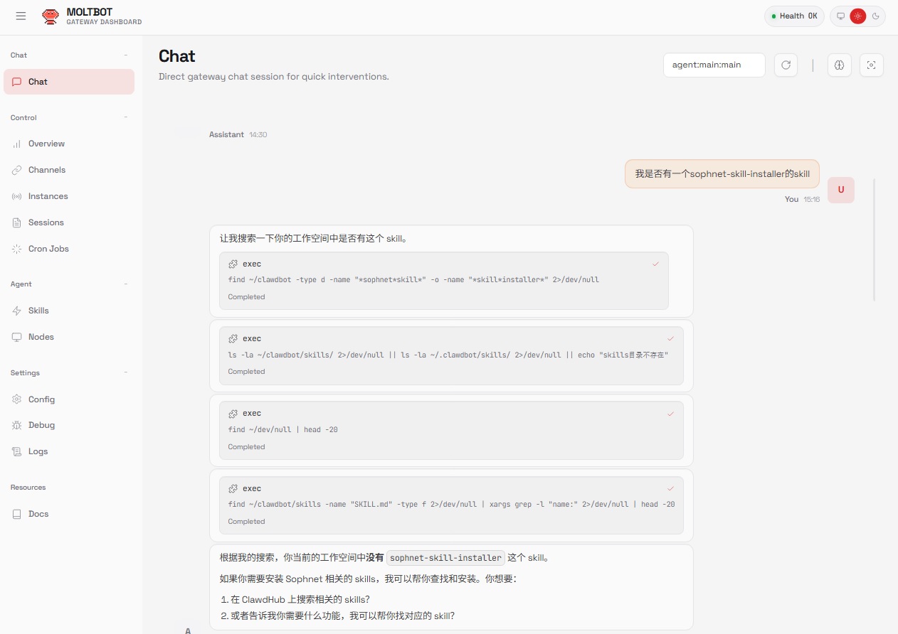 检查 skill 安装状态